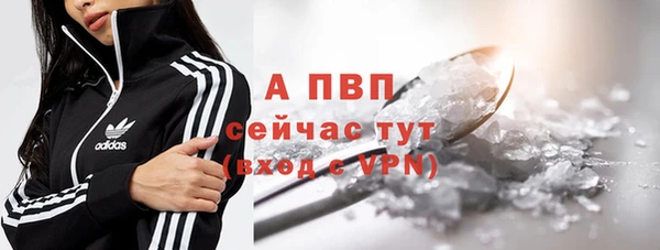 a pvp Белокуриха
