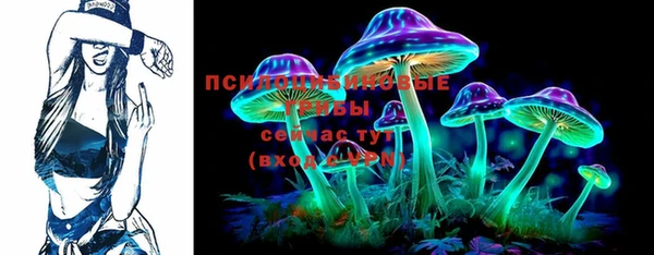 a pvp Белокуриха