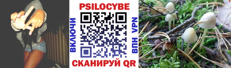 Галлюциногенные грибы MAGIC MUSHROOMS  Нахабино 